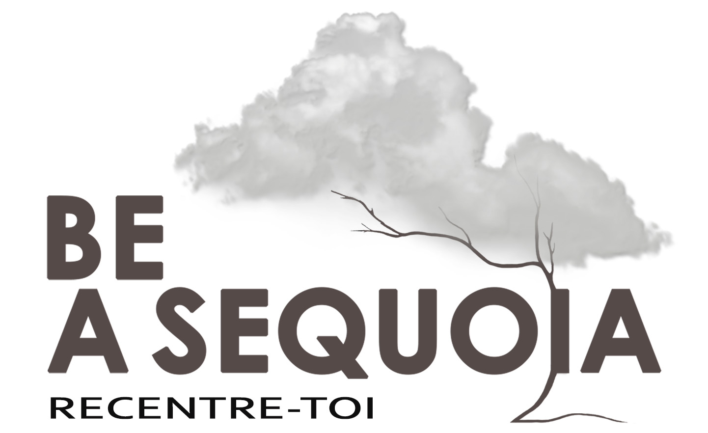 Be a Sequoia